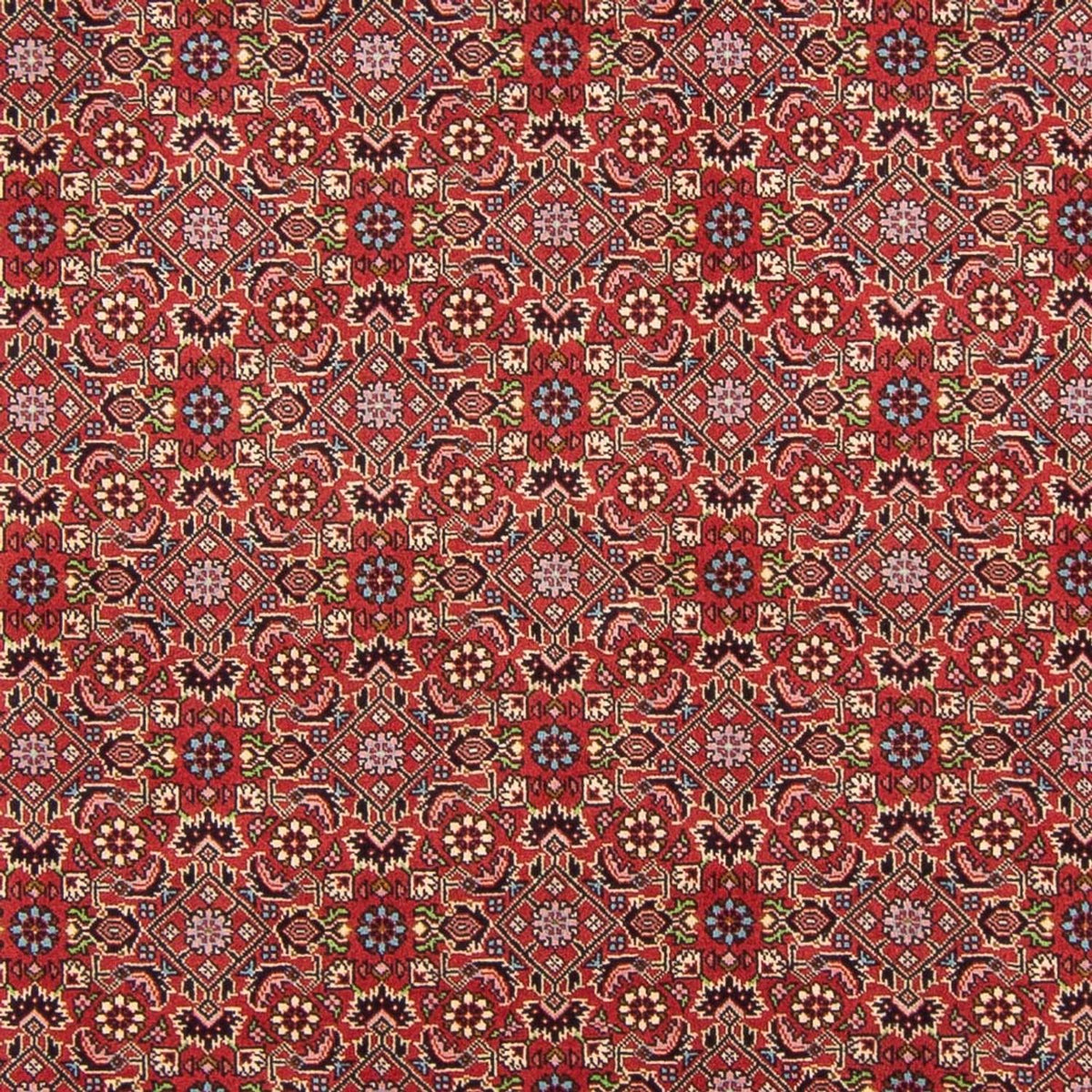 Tapis persan - Bidjar - 290 x 198 cm - rouge
