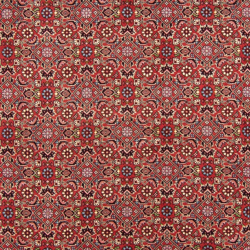 Tapis persan - Bidjar - 290 x 198 cm - rouge