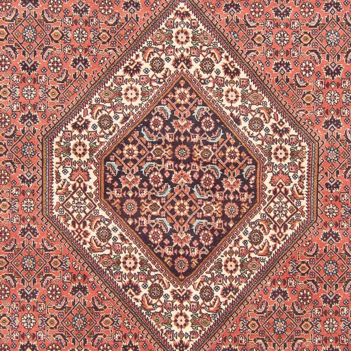 Tapis persan - Bidjar - 290 x 200 cm - rouge