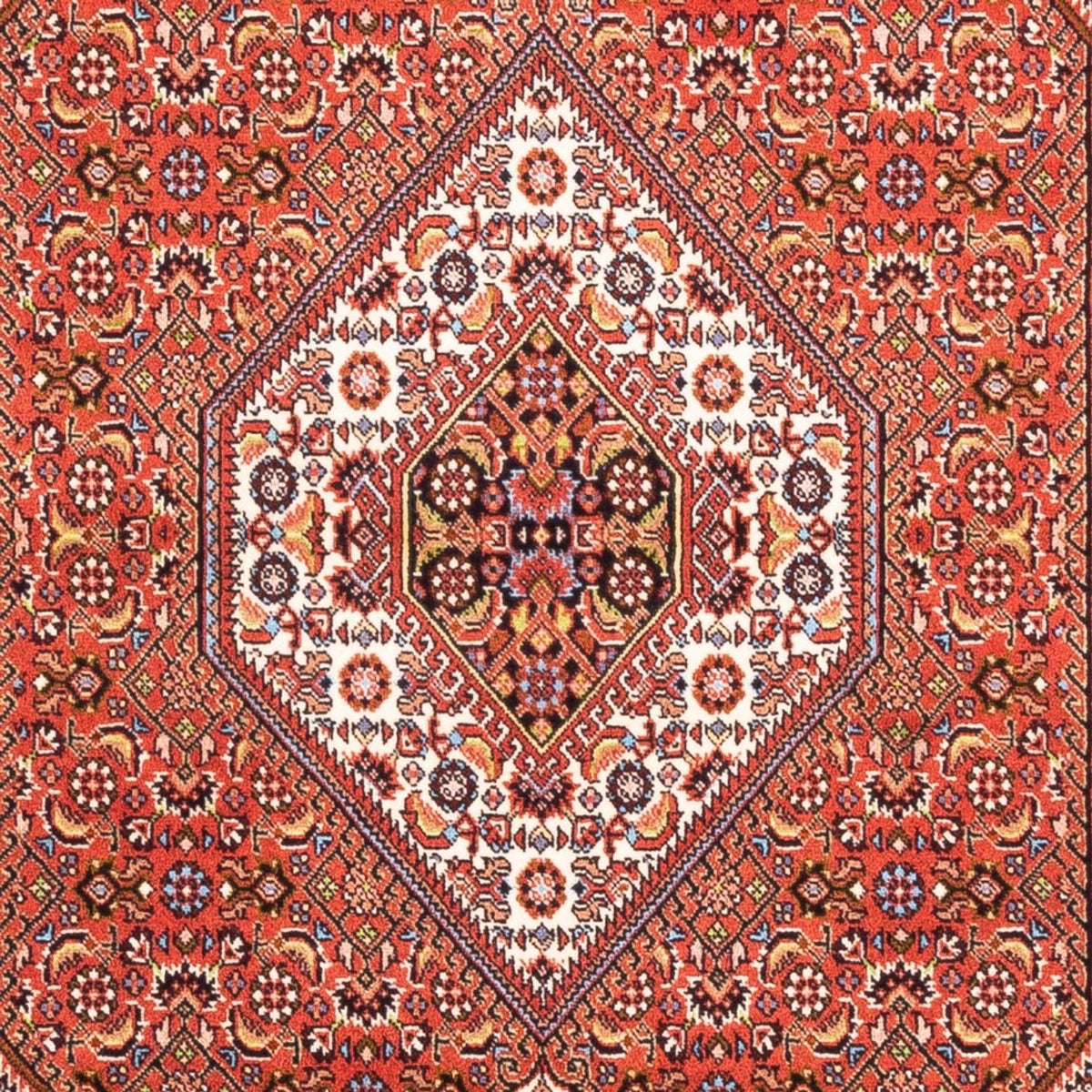 Tapis persan - Bidjar - 182 x 110 cm - rouge