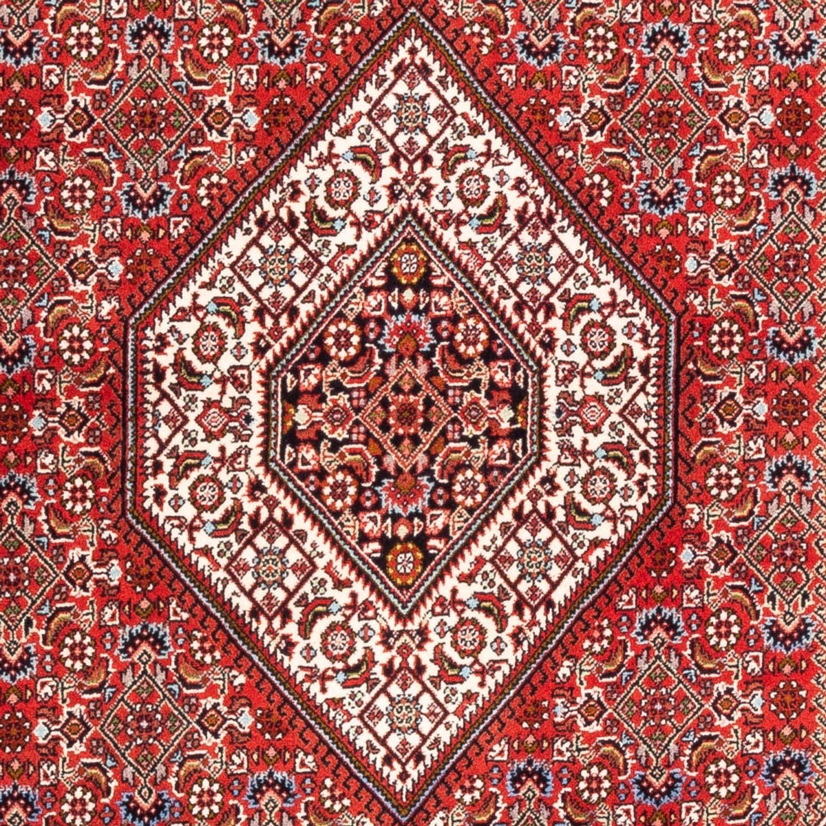 Tapis persan - Bidjar - 176 x 110 cm - rouge