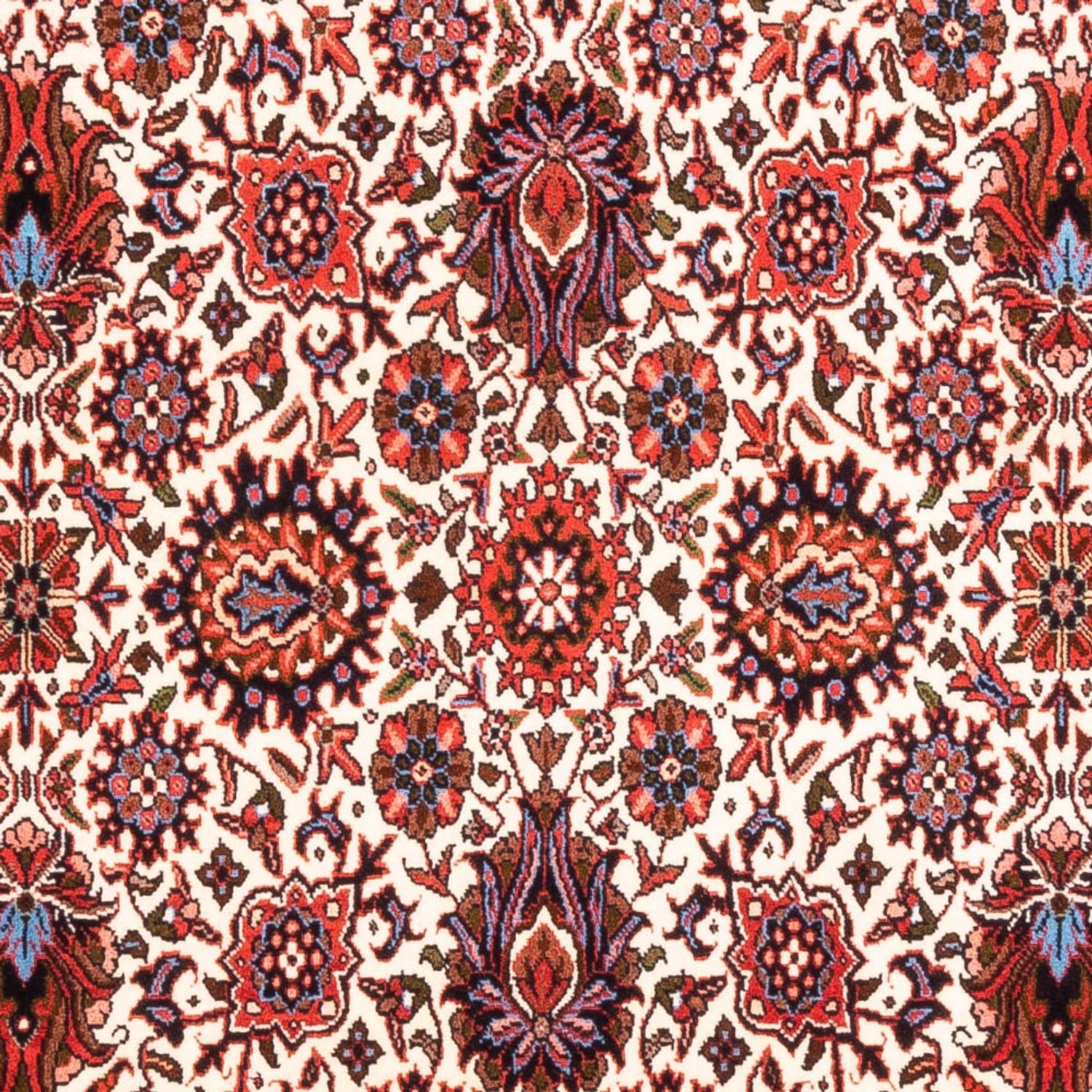 Tapis persan - Bidjar - 177 x 110 cm - crème
