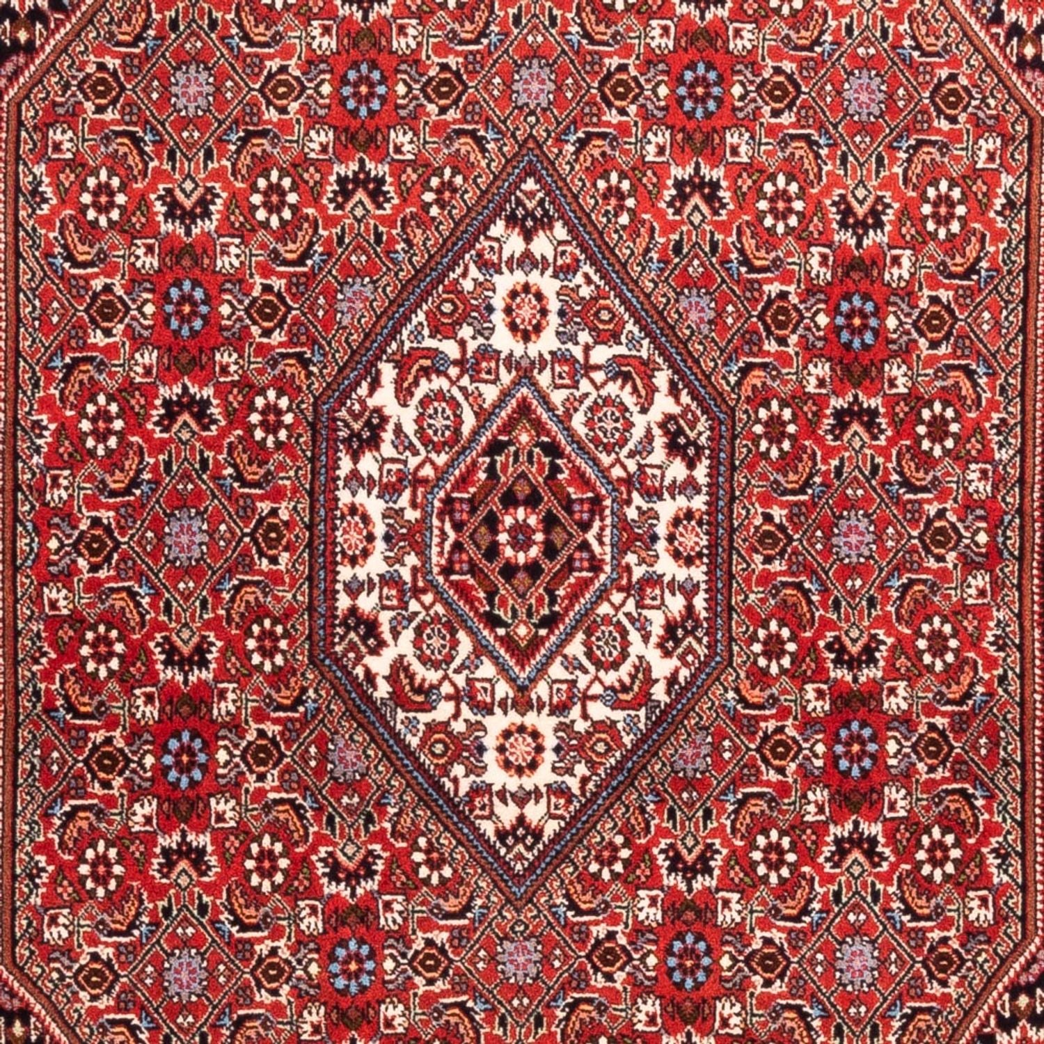 Tapis persan - Bidjar - 184 x 108 cm - rouge
