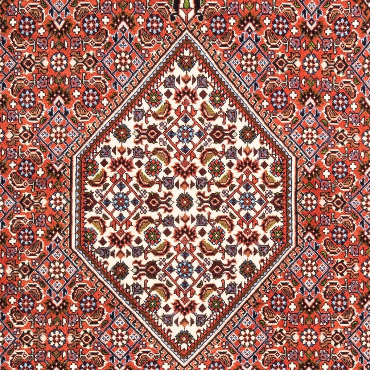 Tapis persan - Bidjar - 180 x 112 cm - rouge