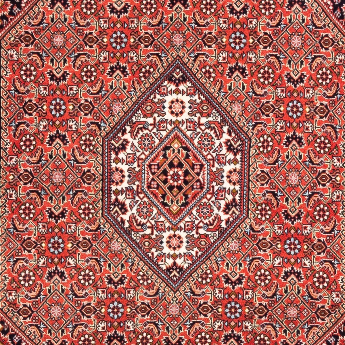 Tapis persan - Bidjar - 166 x 110 cm - rouge