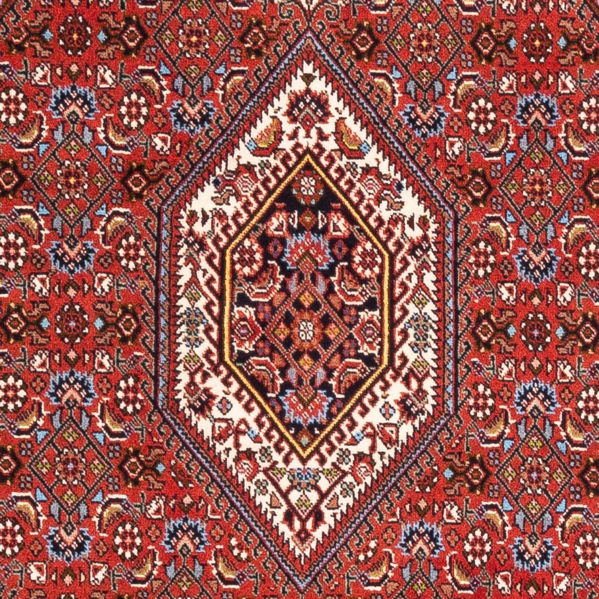 Tapis persan - Bidjar - 174 x 107 cm - rouge