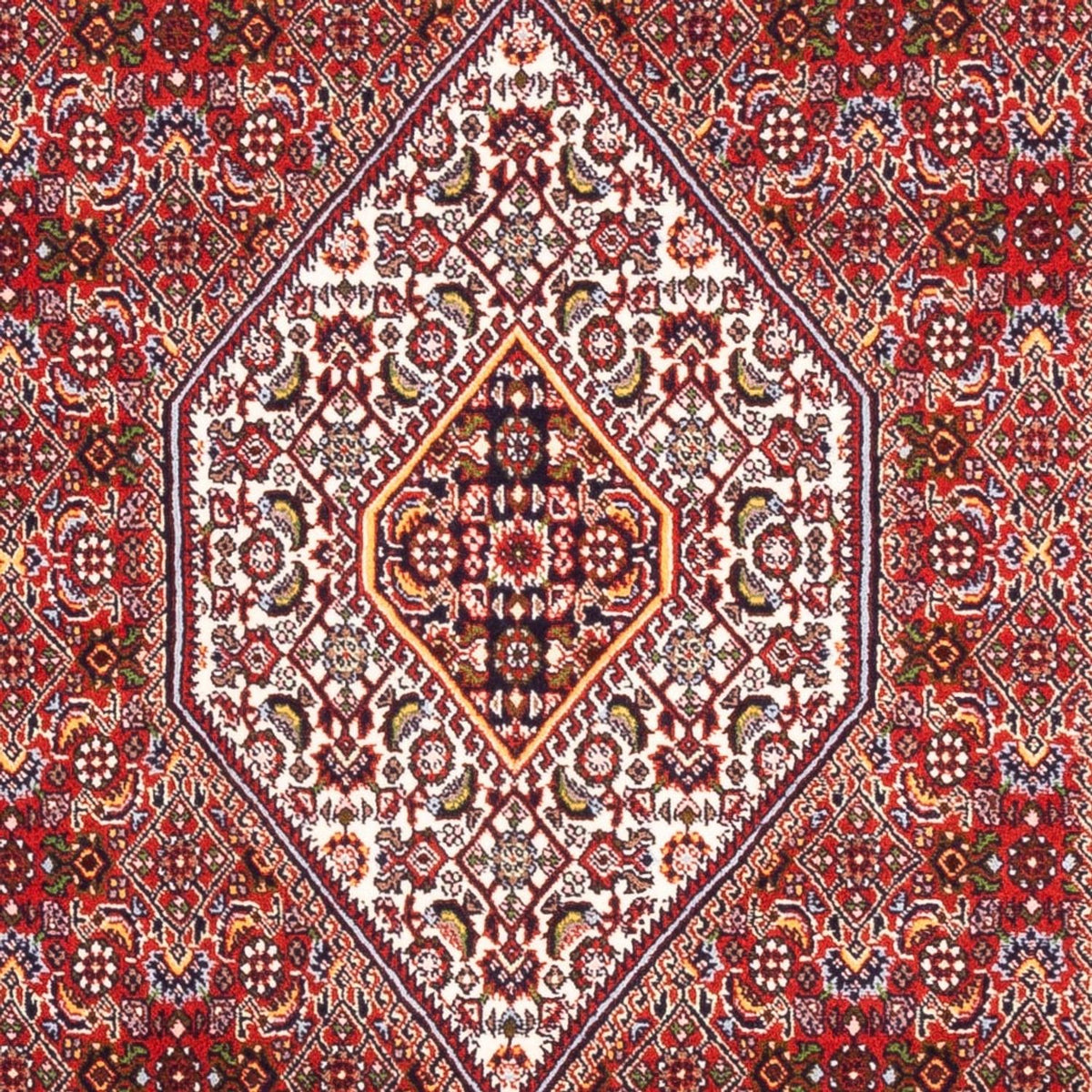 Tapis de couloir Tapis persan - Bidjar - 185 x 104 cm - rouge