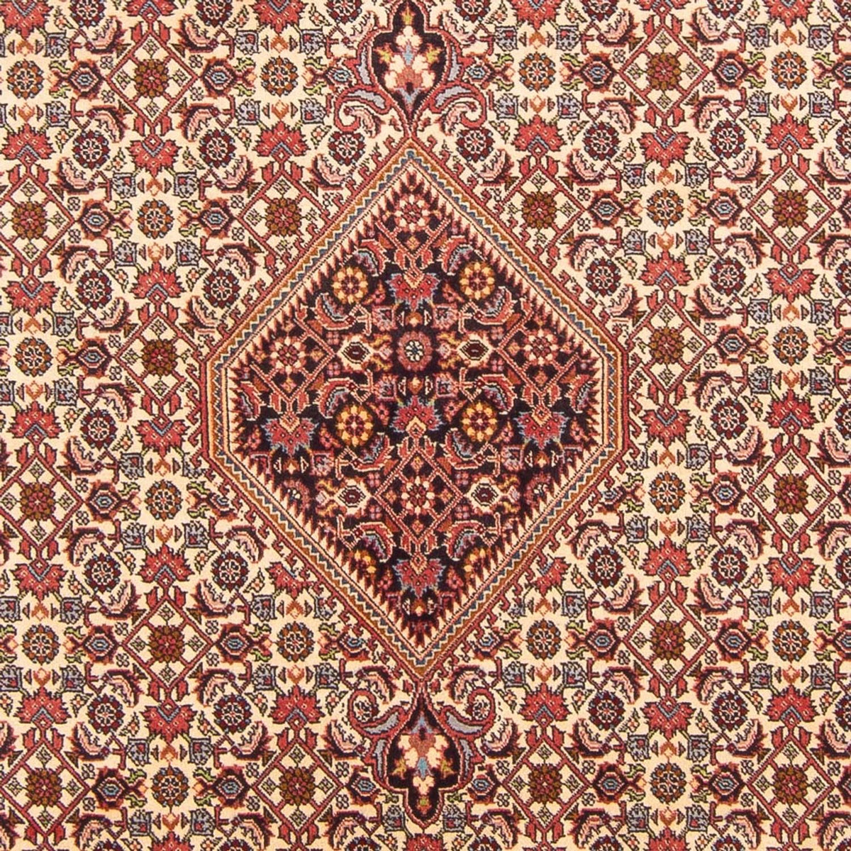 Tapis persan - Bidjar - 298 x 200 cm - rouge