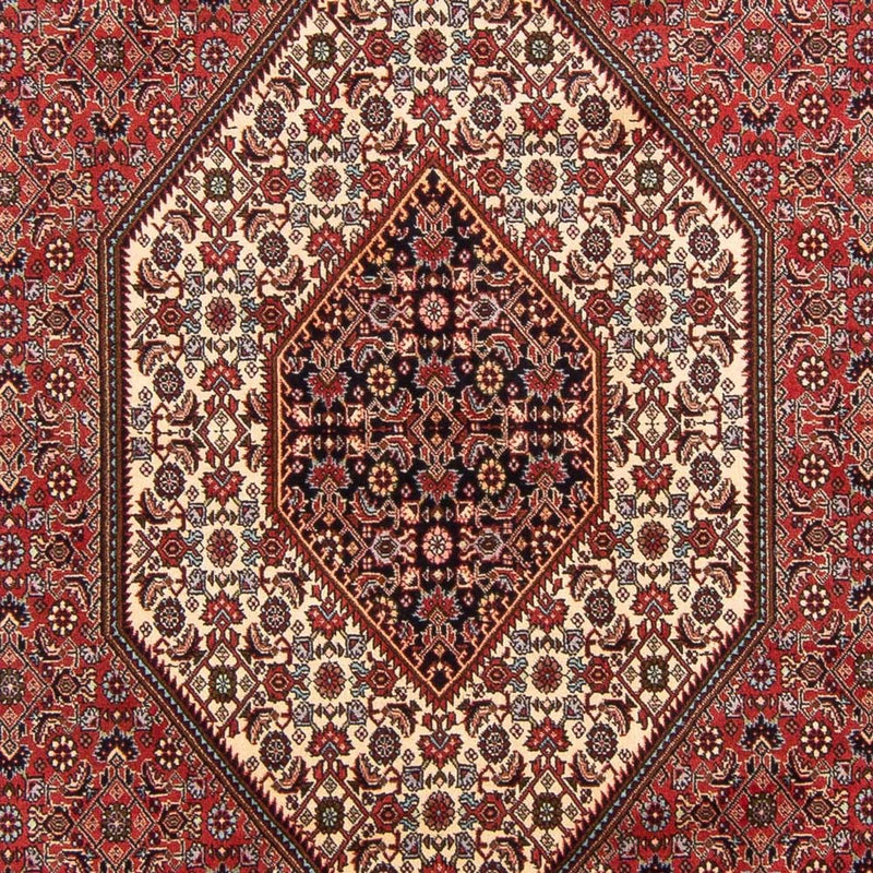 Tapis persan - Bidjar - 305 x 198 cm - rouge