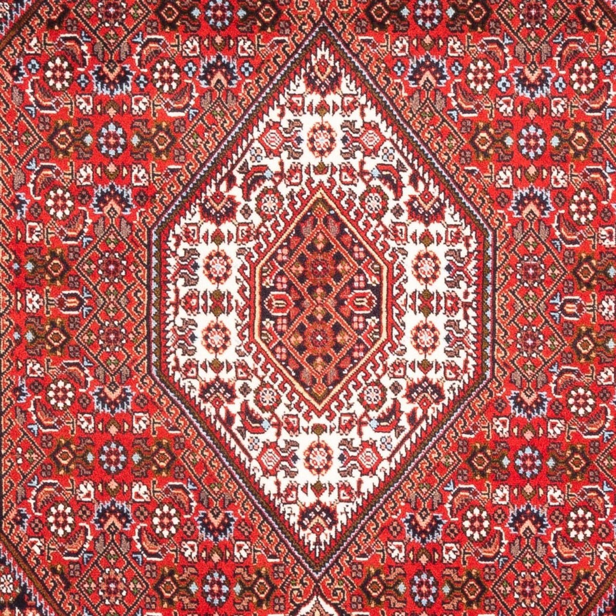 Tapis persan - Bidjar - 183 x 110 cm - rouge