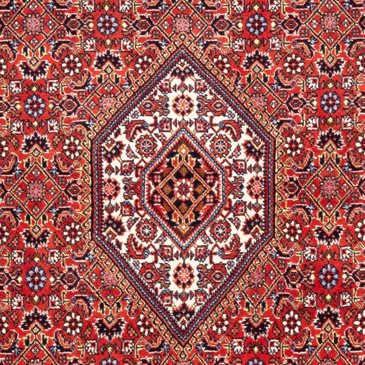 Tapis persan - Bidjar - 174 x 108 cm - rouge