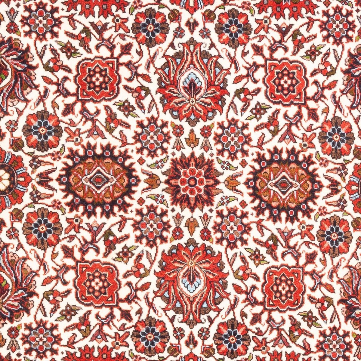 Tapis persan - Bidjar - 177 x 110 cm - crème