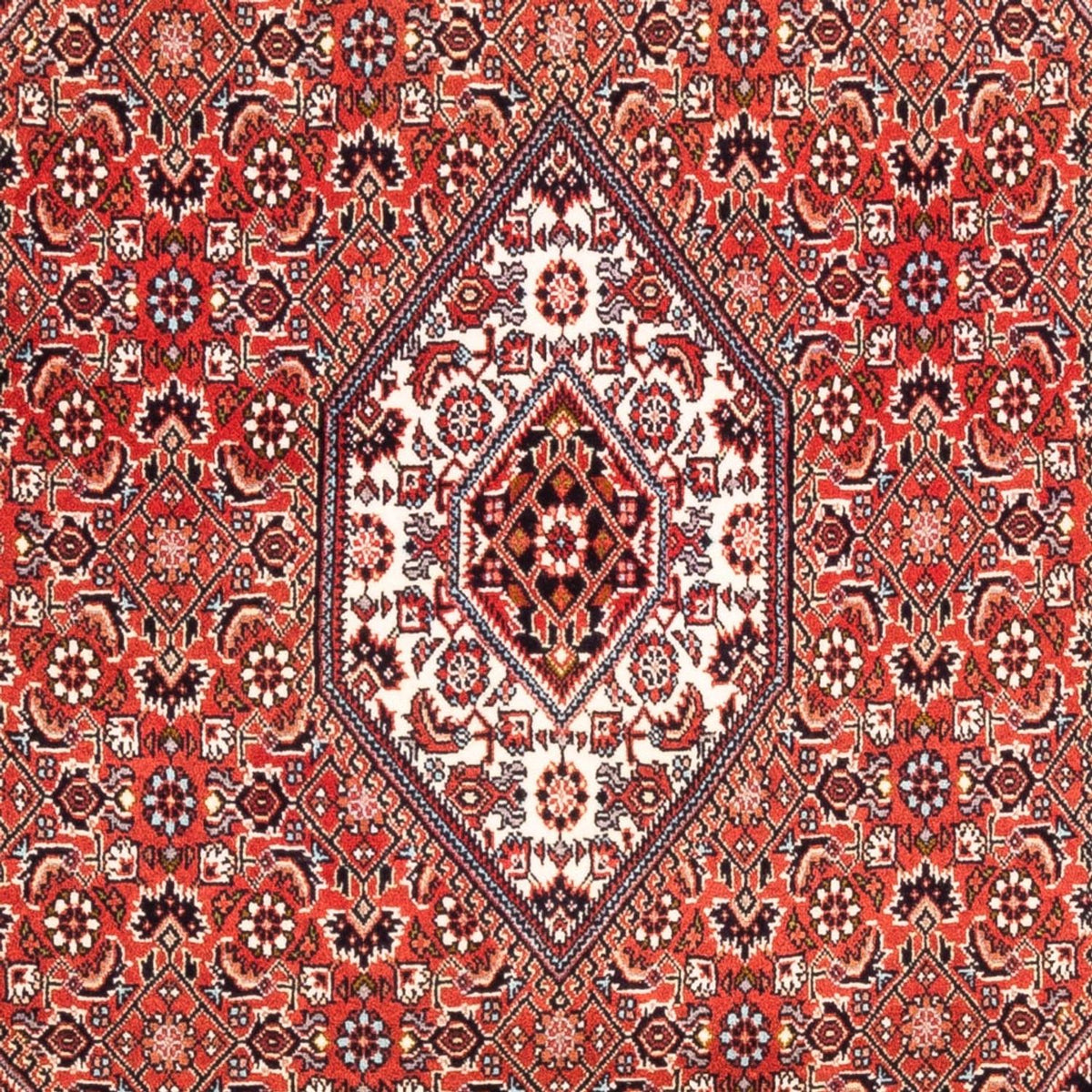 Tapis persan - Bidjar - 188 x 112 cm - rouge