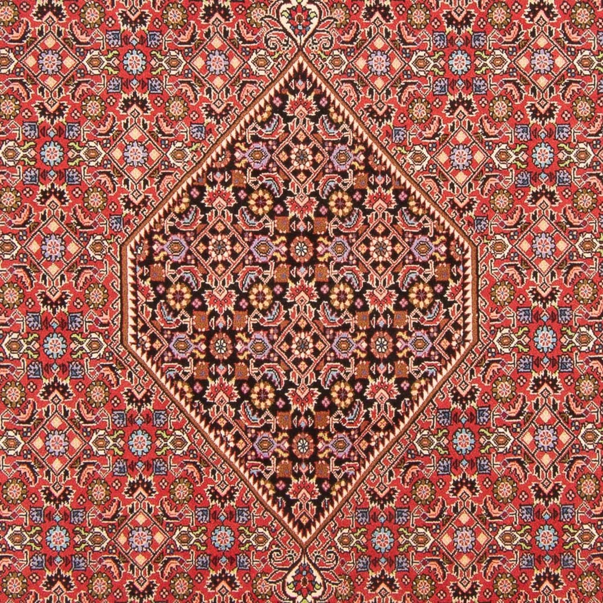 Tapis persan - Bidjar - 294 x 200 cm - rouge
