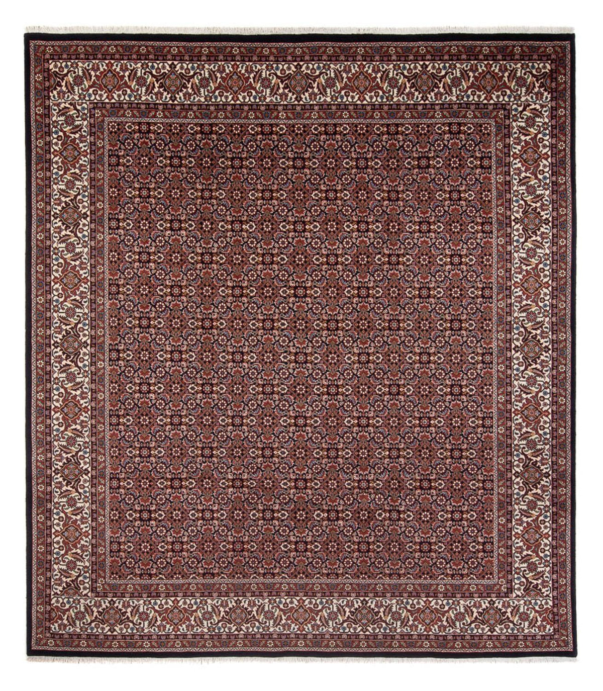 Tapis persan - Bidjar - 300 x 248 cm - bleu foncé