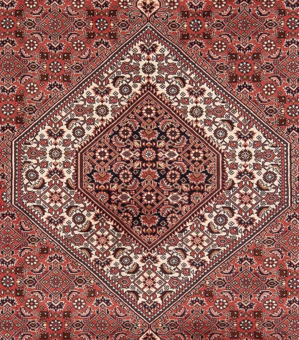 Tapis persan - Bidjar - 333 x 247 cm - rouge foncé