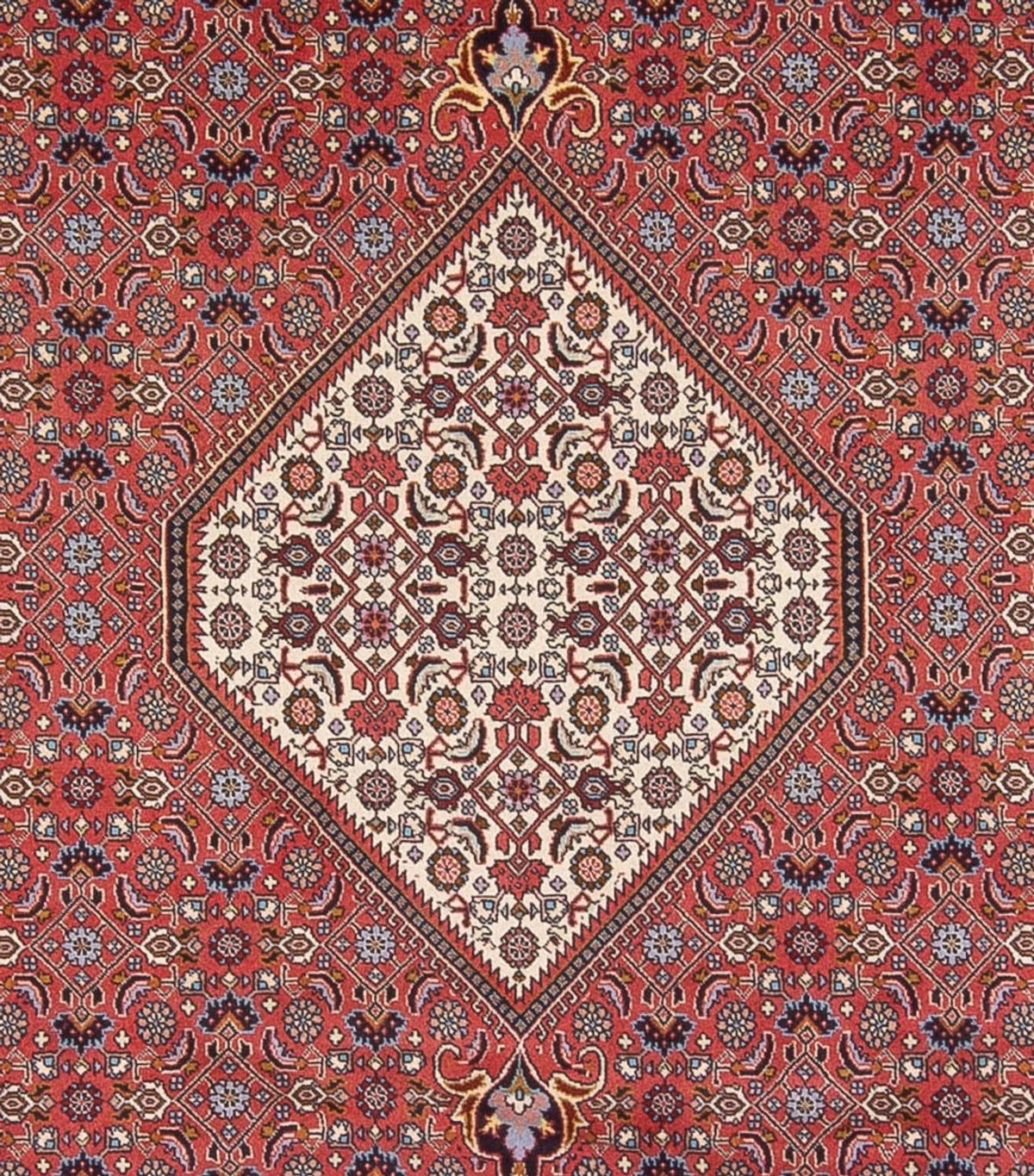 Tapis persan - Bidjar - 337 x 250 cm - rouge foncé