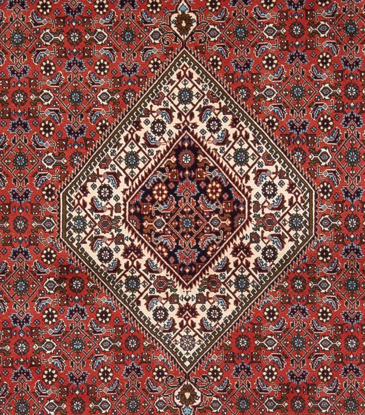 Tapis persan - Bidjar - 290 x 243 cm - rouille