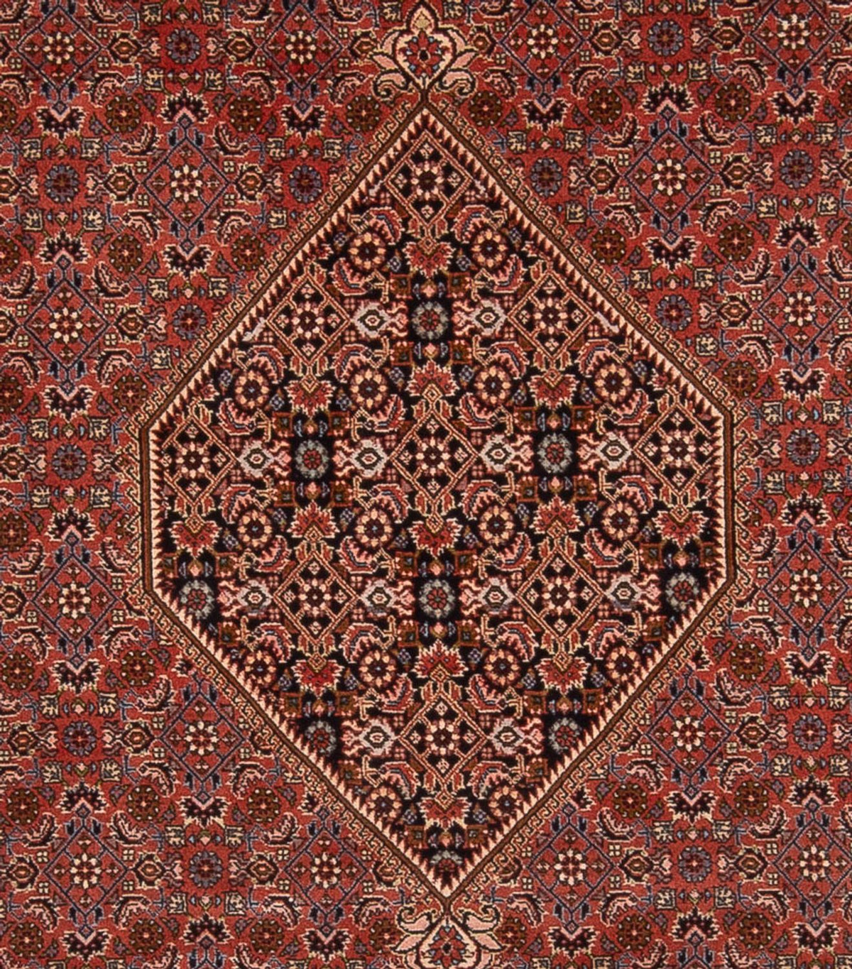 Tapis persan - Bidjar - 344 x 250 cm - rouille