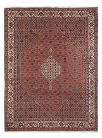 Tapis persan - Bidjar - 343 x 247 cm - rouille