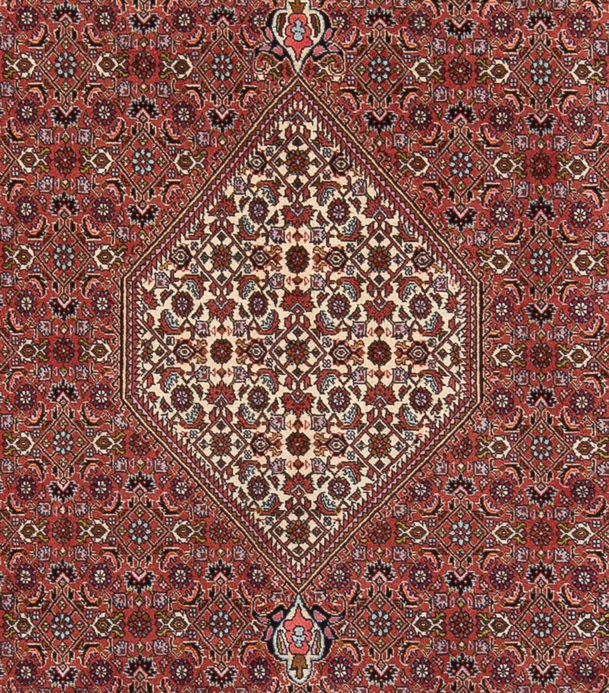 Tapis persan - Bidjar - 343 x 247 cm - rouille