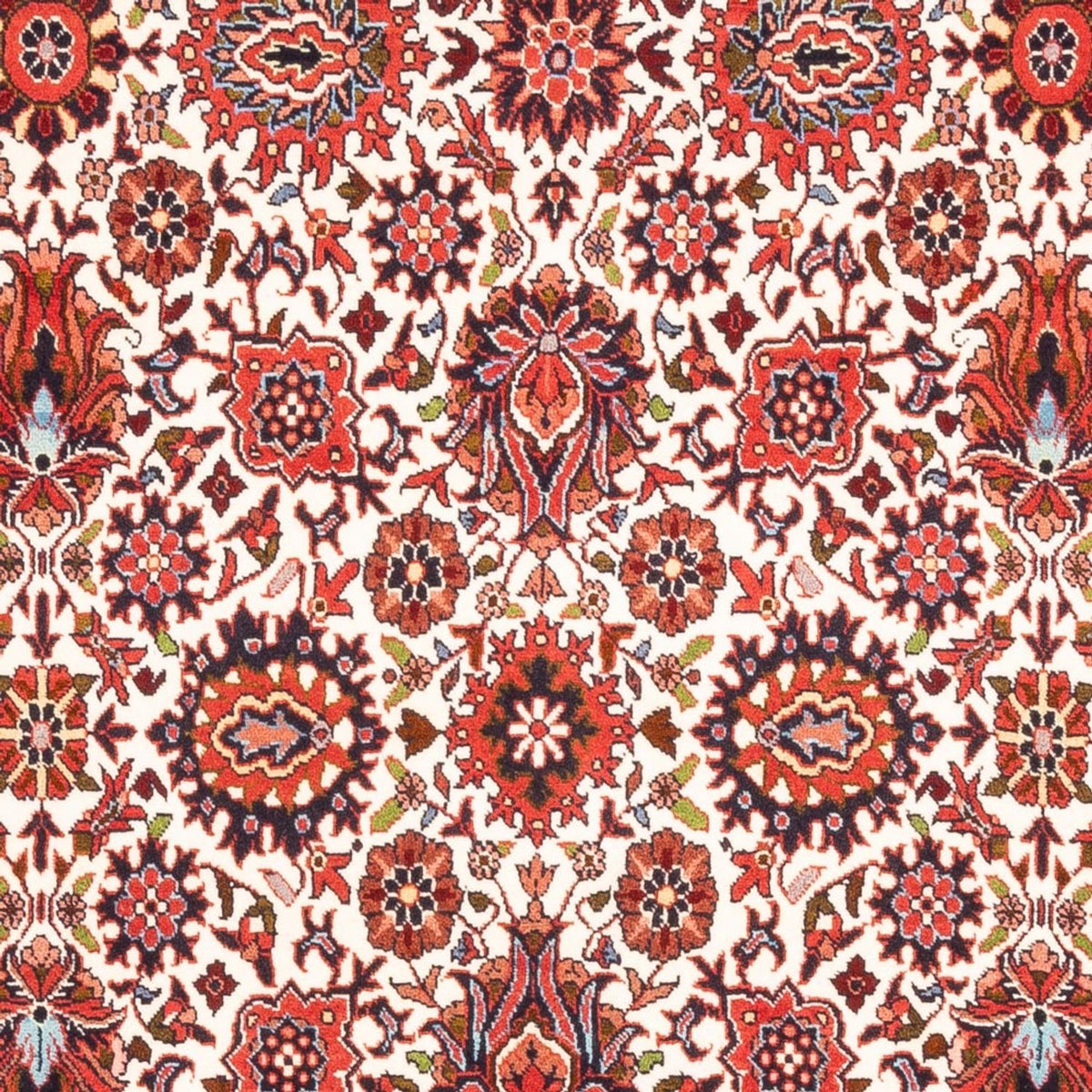Tapis persan - Bidjar - 182 x 108 cm - crème