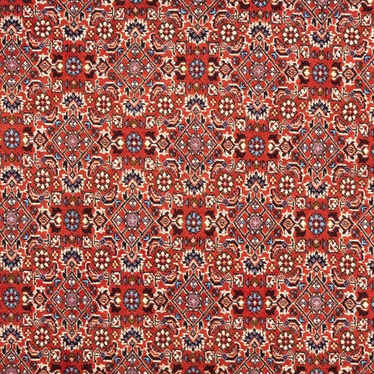Tapis persan - Bidjar - 180 x 110 cm - rouge