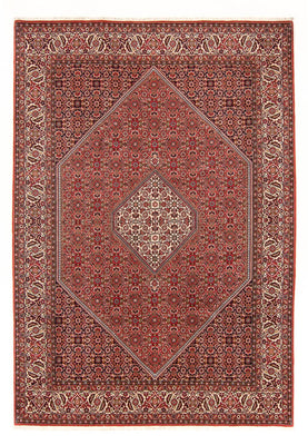 Tapis persan - Bidjar - 290 x 202 cm - rouge