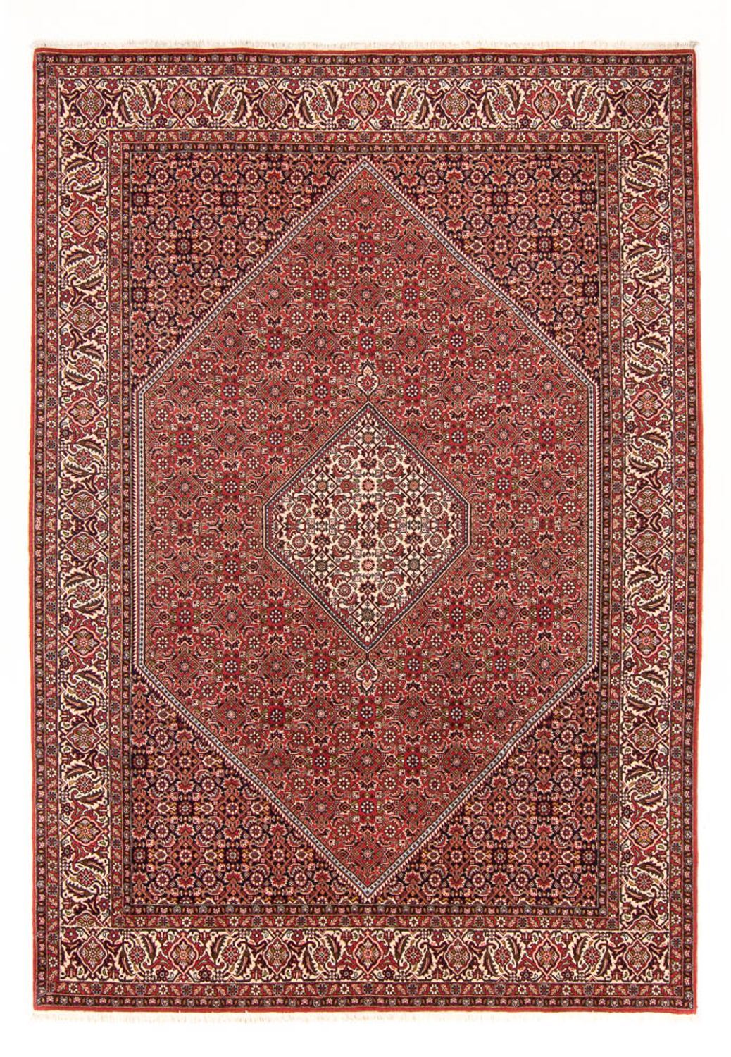 Tapis persan - Bidjar - 290 x 202 cm - rouge