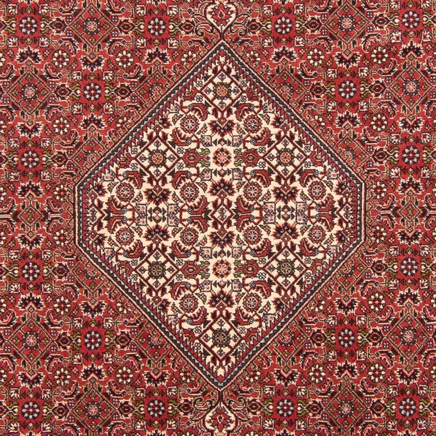 Tapis persan - Bidjar - 290 x 202 cm - rouge