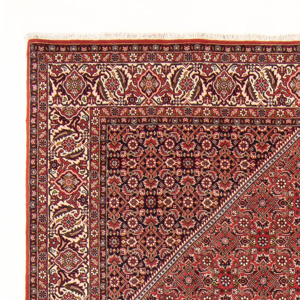 Tapis persan - Bidjar - 290 x 202 cm - rouge