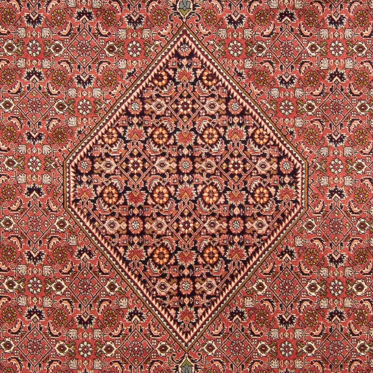 Tapis persan - Bidjar - 300 x 200 cm - rouge