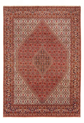 Tapis persan - Bidjar - 290 x 200 cm - rouge