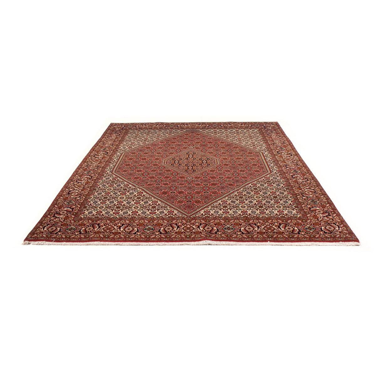 Tapis persan - Bidjar - 290 x 200 cm - rouge