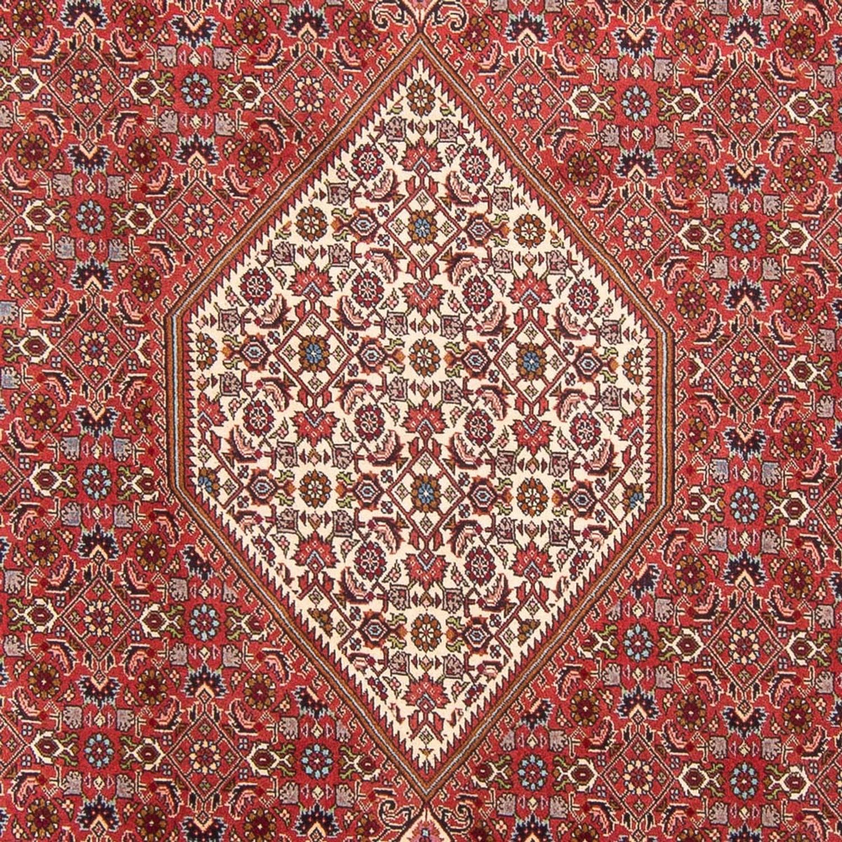 Tapis persan - Bidjar - 310 x 203 cm - rouge