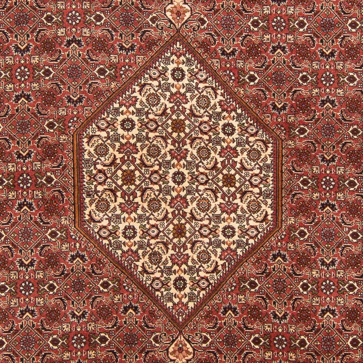 Tapis persan - Bidjar - 292 x 200 cm - rouge