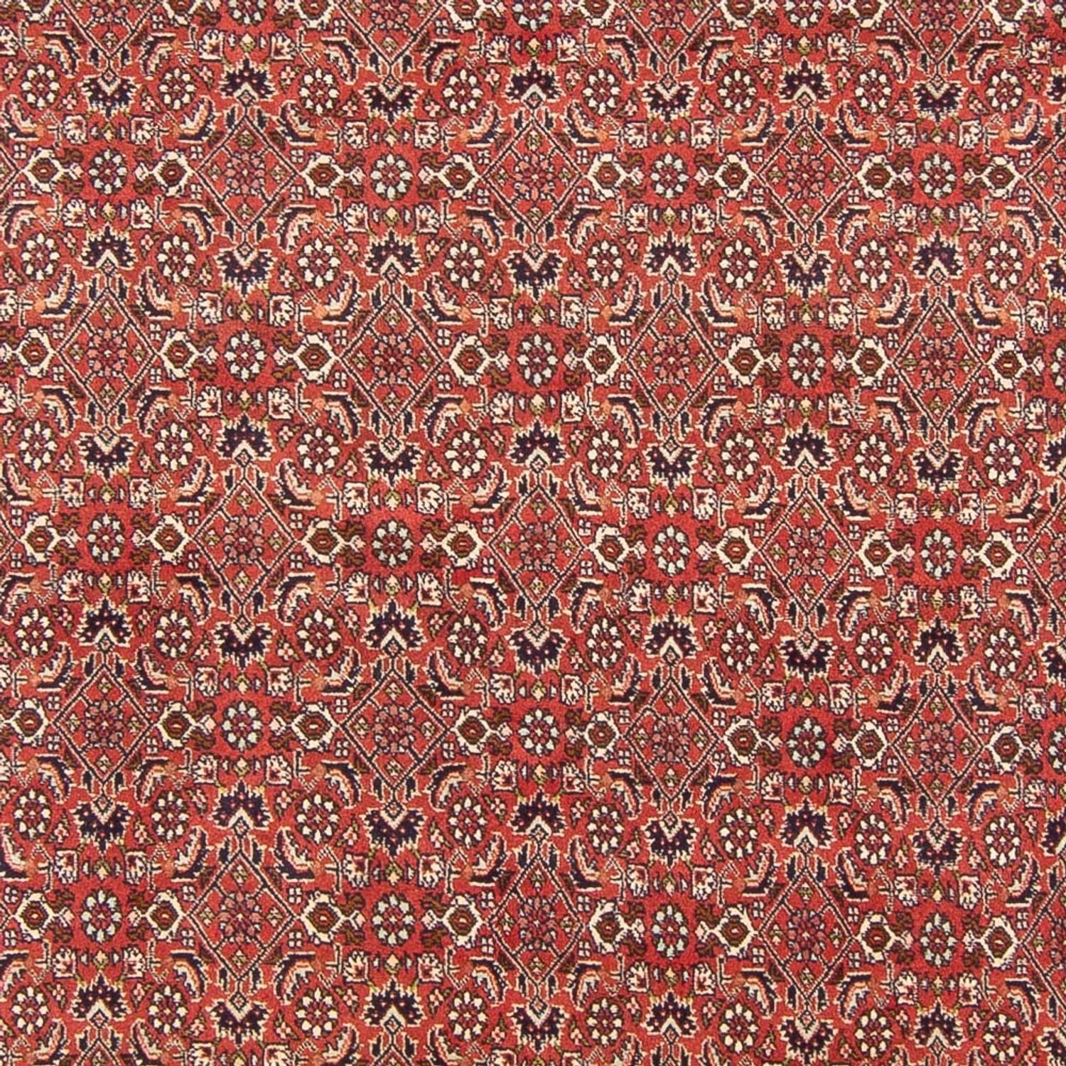 Tapis persan - Bidjar - 305 x 200 cm - rouge