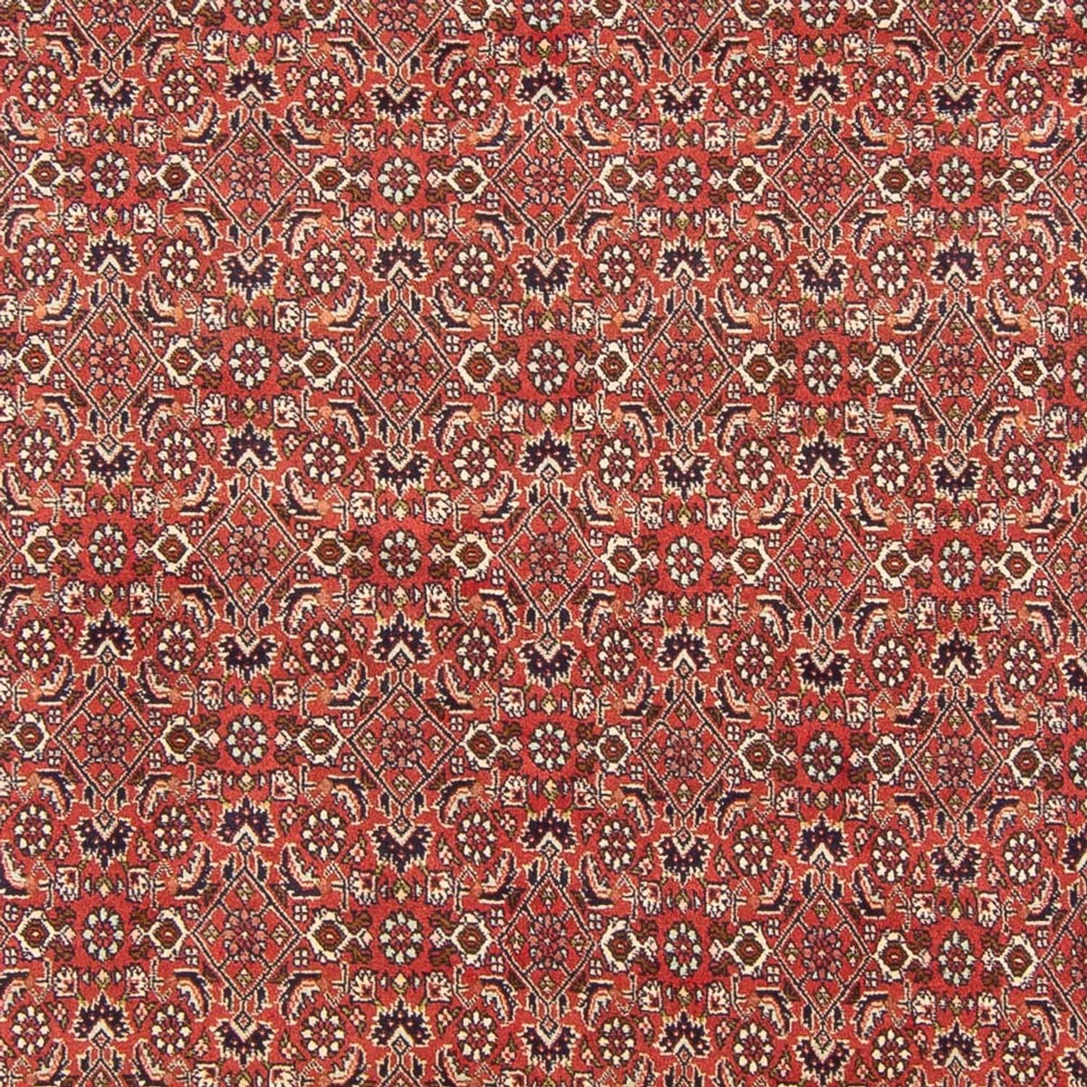 Tapis persan - Bidjar - 305 x 200 cm - rouge