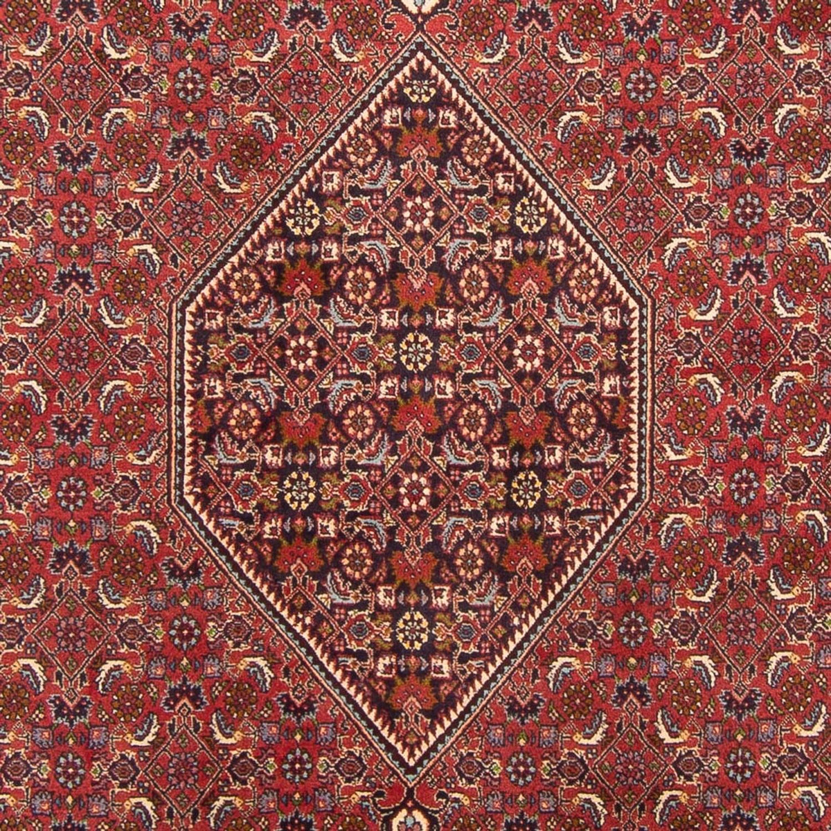 Tapis persan - Bidjar - 301 x 200 cm - rouge