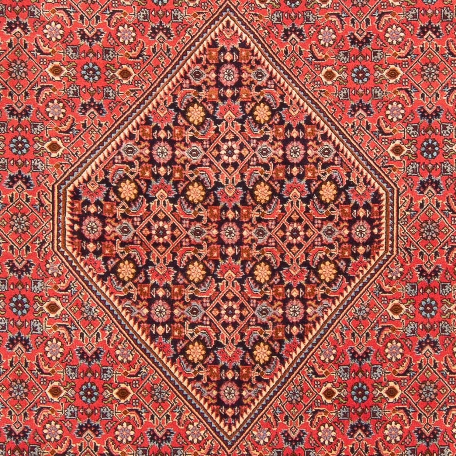 Tapis persan - Bidjar - 260 x 200 cm - rouge