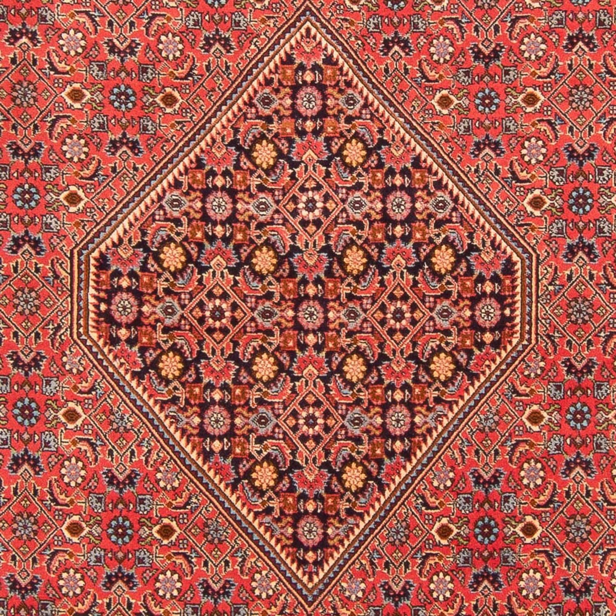 Tapis persan - Bidjar - 260 x 200 cm - rouge
