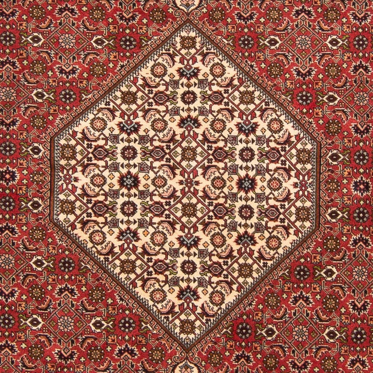 Tapis persan - Bidjar - 260 x 200 cm - rouge
