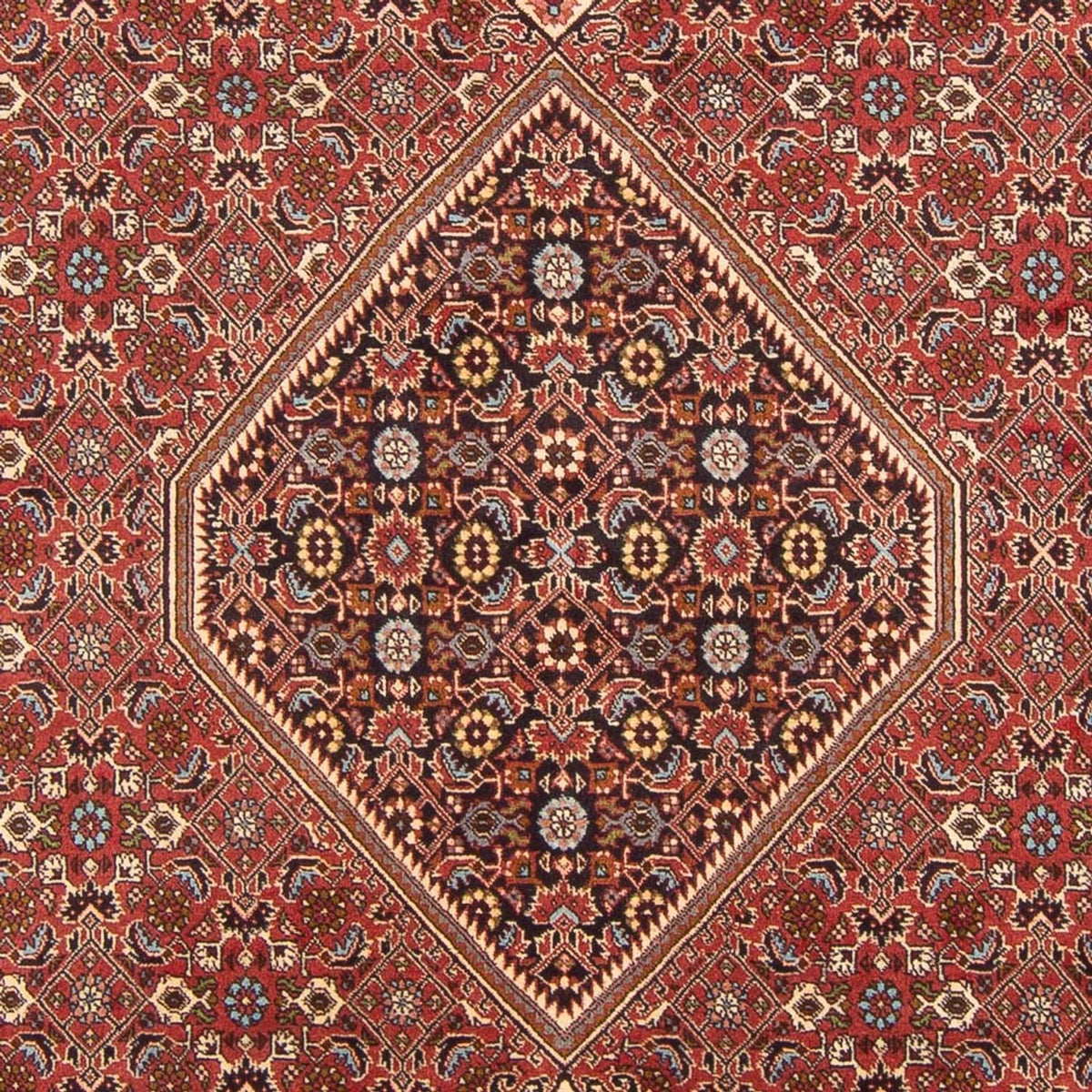 Tapis persan - Bidjar - 307 x 203 cm - rouge