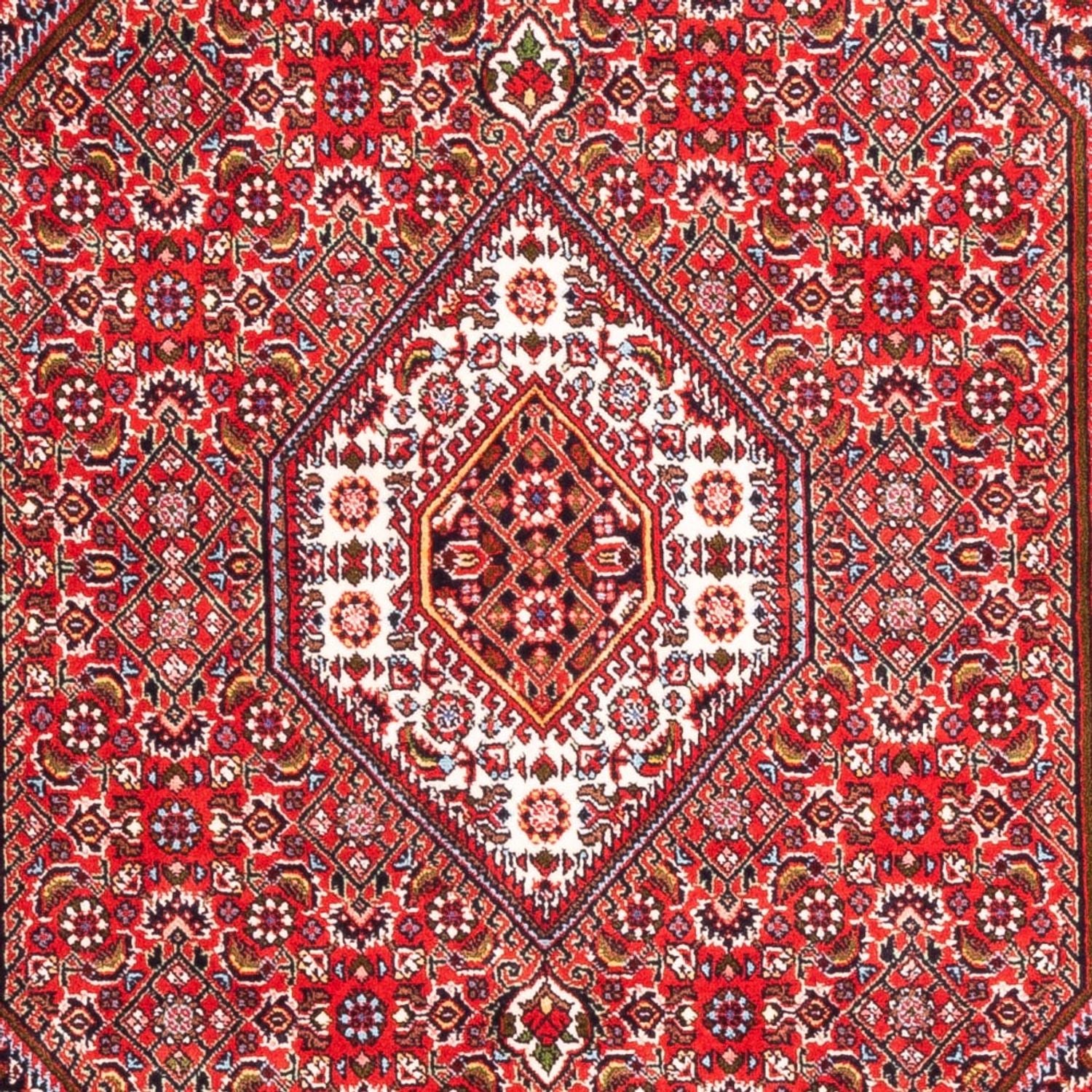 Tapis persan - Bidjar - 170 x 110 cm - rouge
