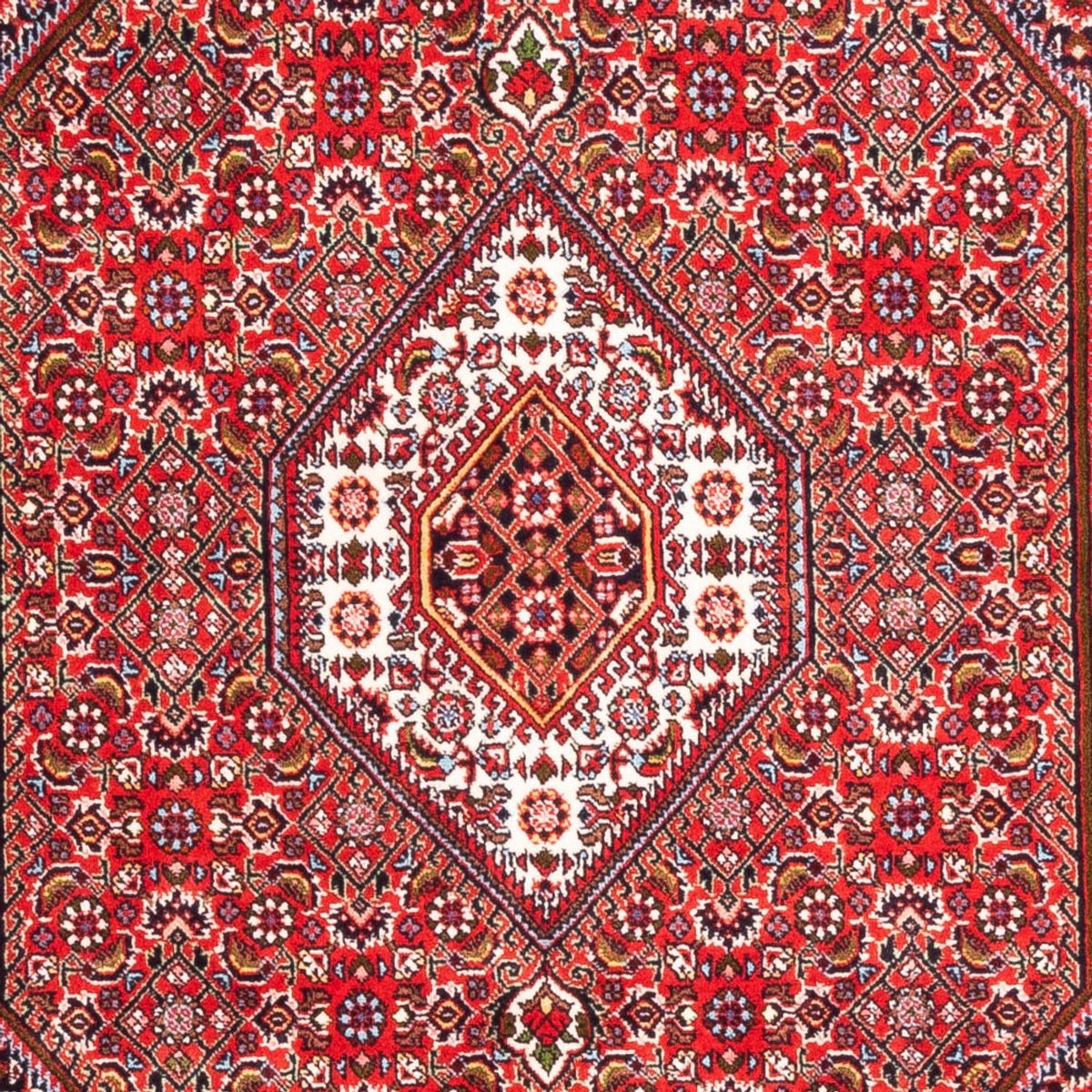 Tapis persan - Bidjar - 170 x 110 cm - rouge