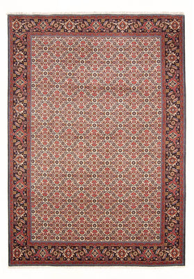 Tapis persan - Bidjar - 294 x 200 cm - crème
