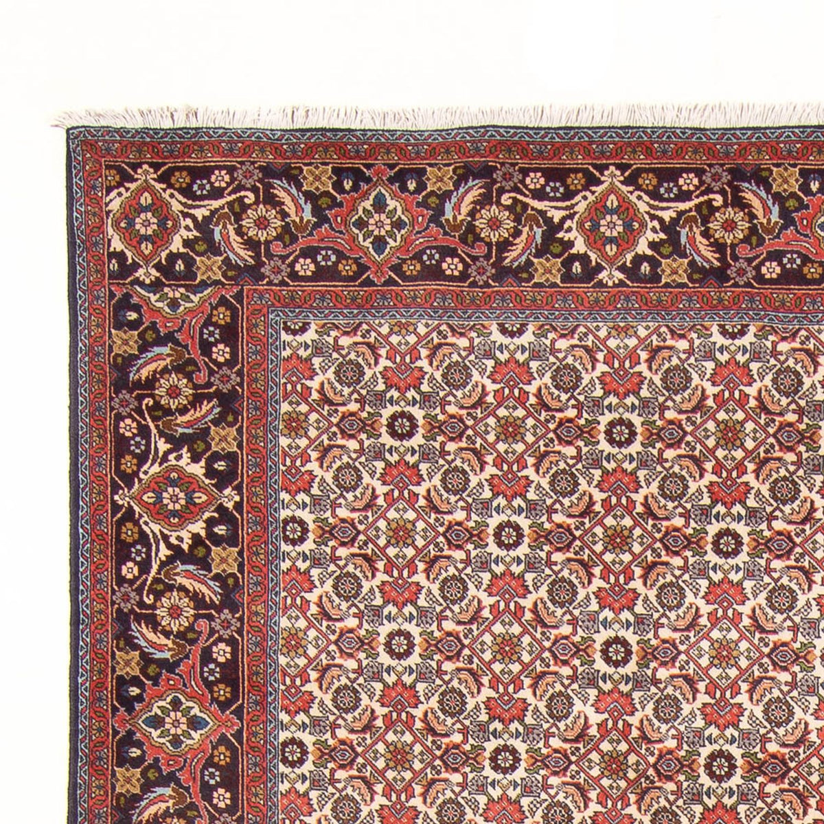 Tapis persan - Bidjar - 294 x 200 cm - crème