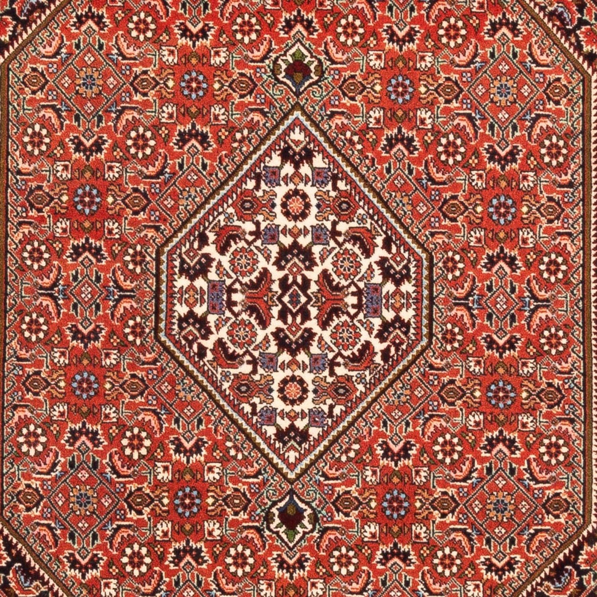 Tapis persan - Bidjar - 169 x 113 cm - rouge