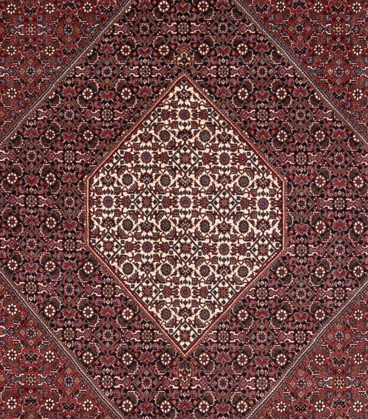 Tapis persan - Bidjar - 370 x 253 cm - rouille