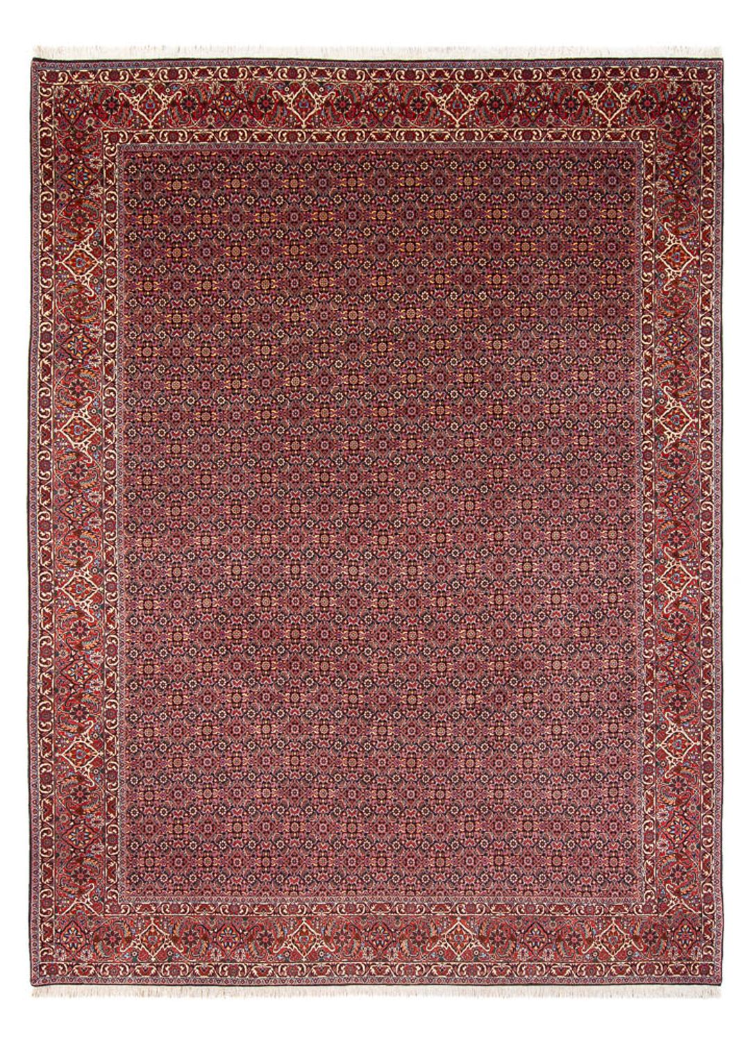 Tapis persan - Bidjar - 337 x 260 cm - bleu foncé